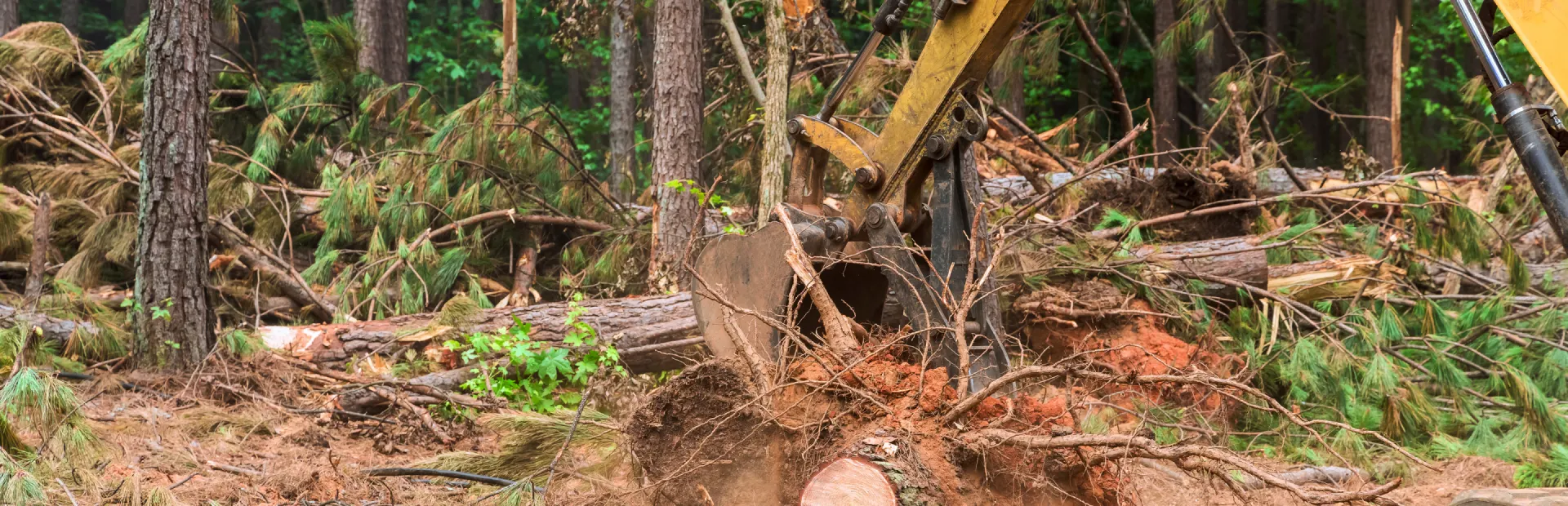 breadcrumb hero Debris Removal Services